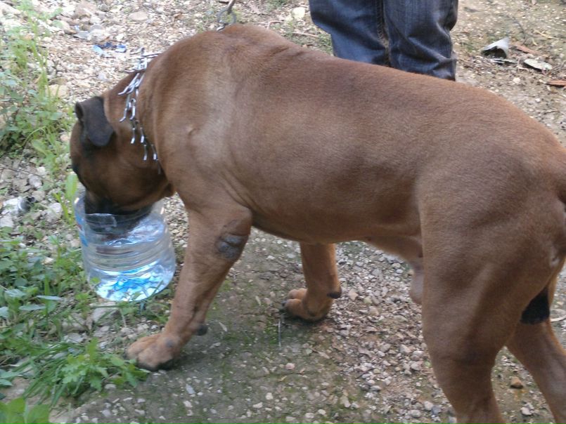 №104, Maroun Matar, Beirut №104, Maroun Matar, Beirut