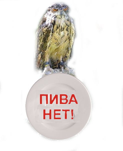 Евген Барбаров | Санкт-Петербург