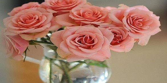 №87, Анна Ларионова, Сочи №87, Анна Ларионова, Сочи