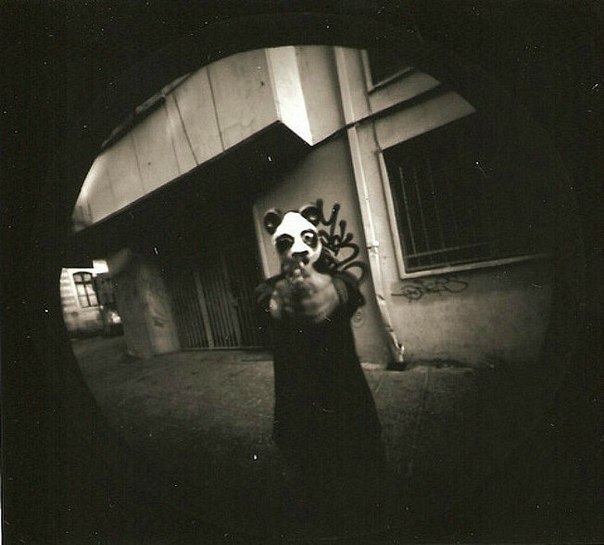 Gena Zotov | 