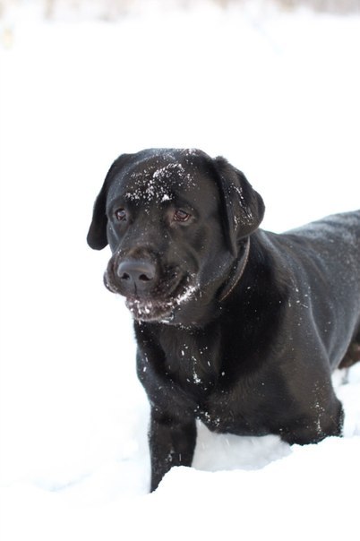 №100, Лина Альтовская, Москва №100, Лина Альтовская, Москва