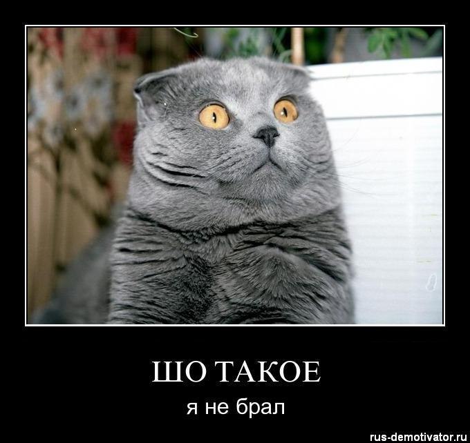 Маргарита Лактионова | Мариуполь