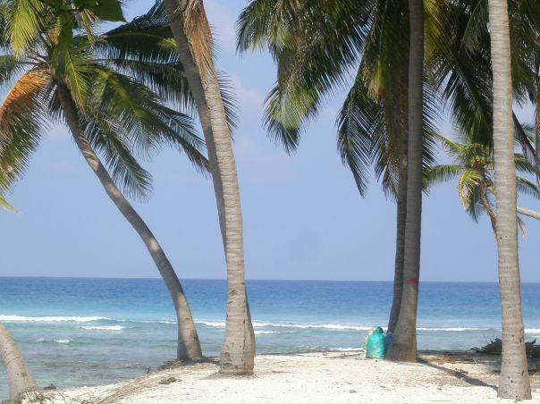 №16, Мариам Тотладзе, 35 лет, Москва №16, Мариам Тотладзе, 35 лет, Москва