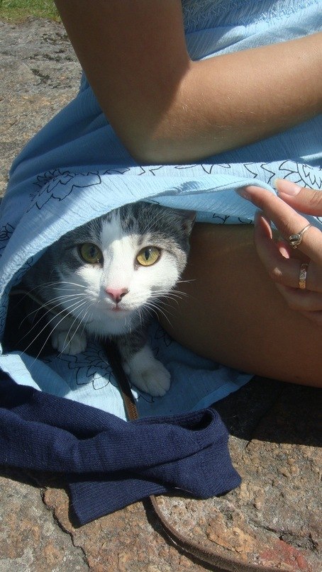 Ирина Углинская | Краснодар