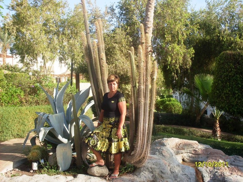 Наталья Шевченко | Полтава