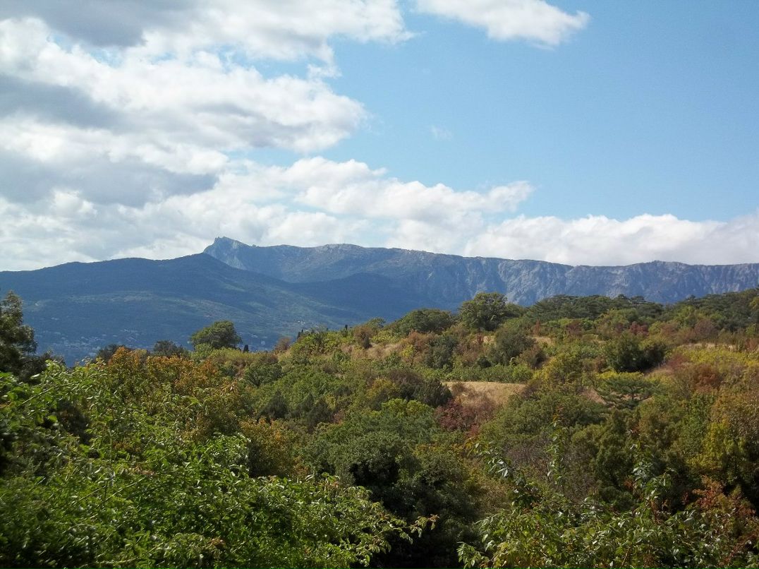 Алексей Зинюк | Бердянск