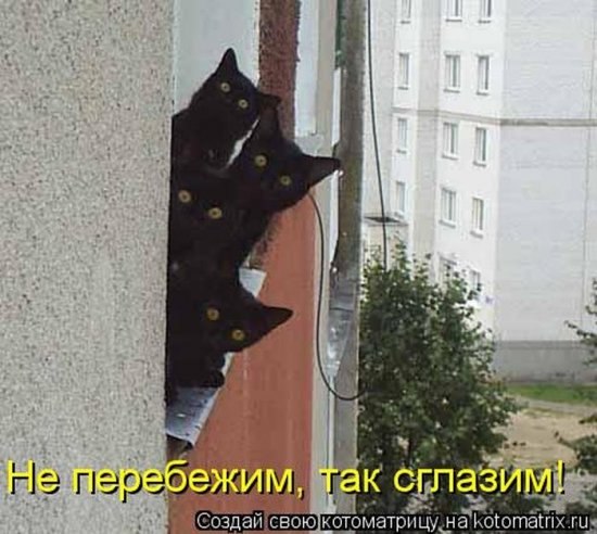 Светлана Черноокая | Мурманск