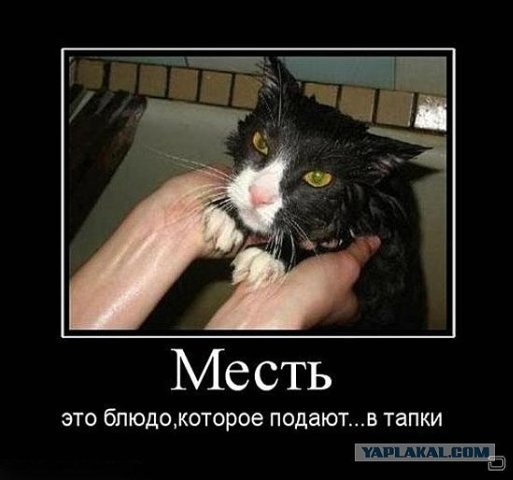 Ирина Тарасова | 