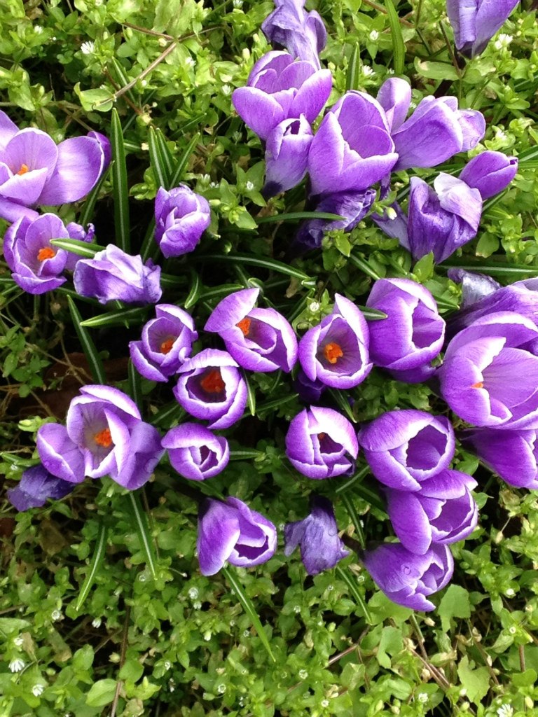 Светлана Попова | Москва