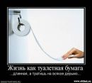 №31 Алиса Куперова 10.03.1997: профиль, фото, статус - ВКонтакте