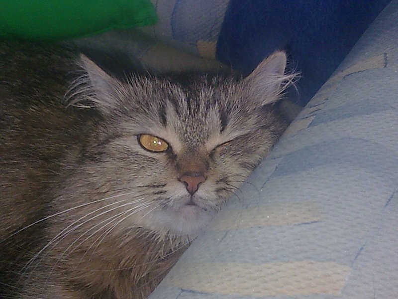 Rufina Safina | Магнитогорск