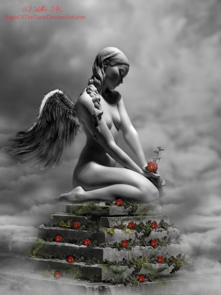 Сандра Фогель | 