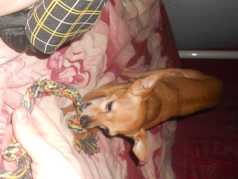 Татьяна Макаренко алексеевна | Москва