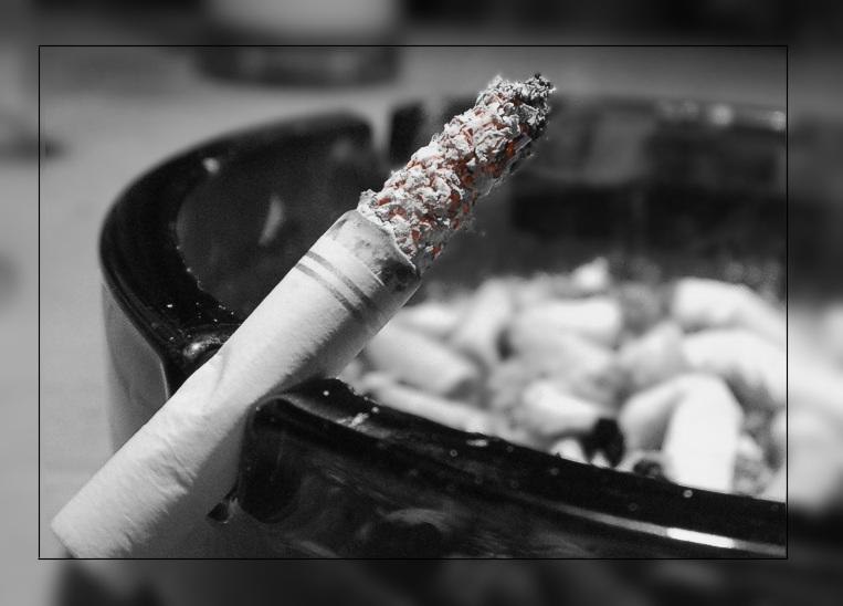 Дмитрий Зенич ☜♔★Зе[МЛ]яК★♔☞ | Славутич