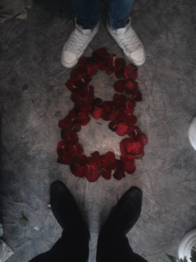 Дарья Бовенко | 