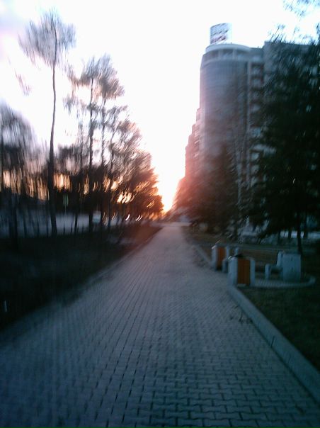 №6, Анюта Никулина №6, Анюта Никулина