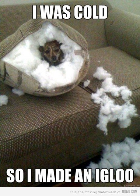 Антон Ольховский | Москва