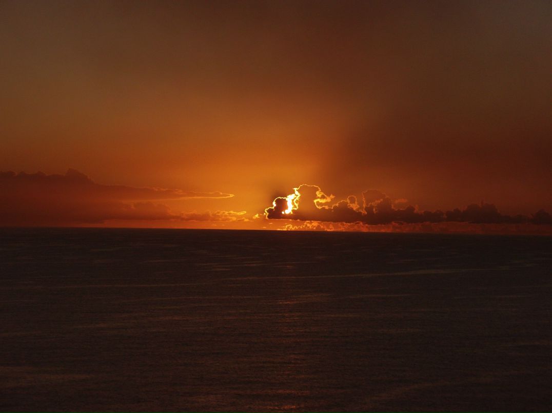 Евгений Плисов | Санкт-Петербург