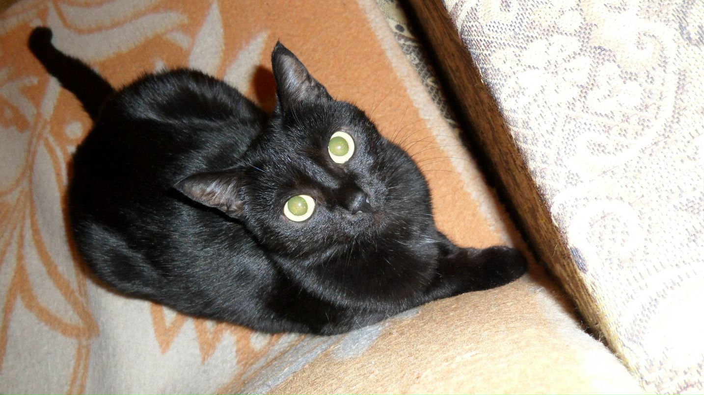 Оля Красногорова koa-la | Красноярск