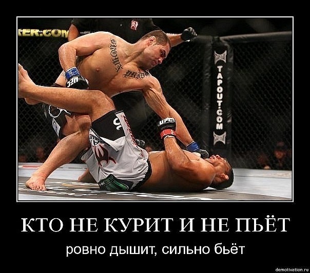 №56, Александр Слюсарь №56, Александр Слюсарь