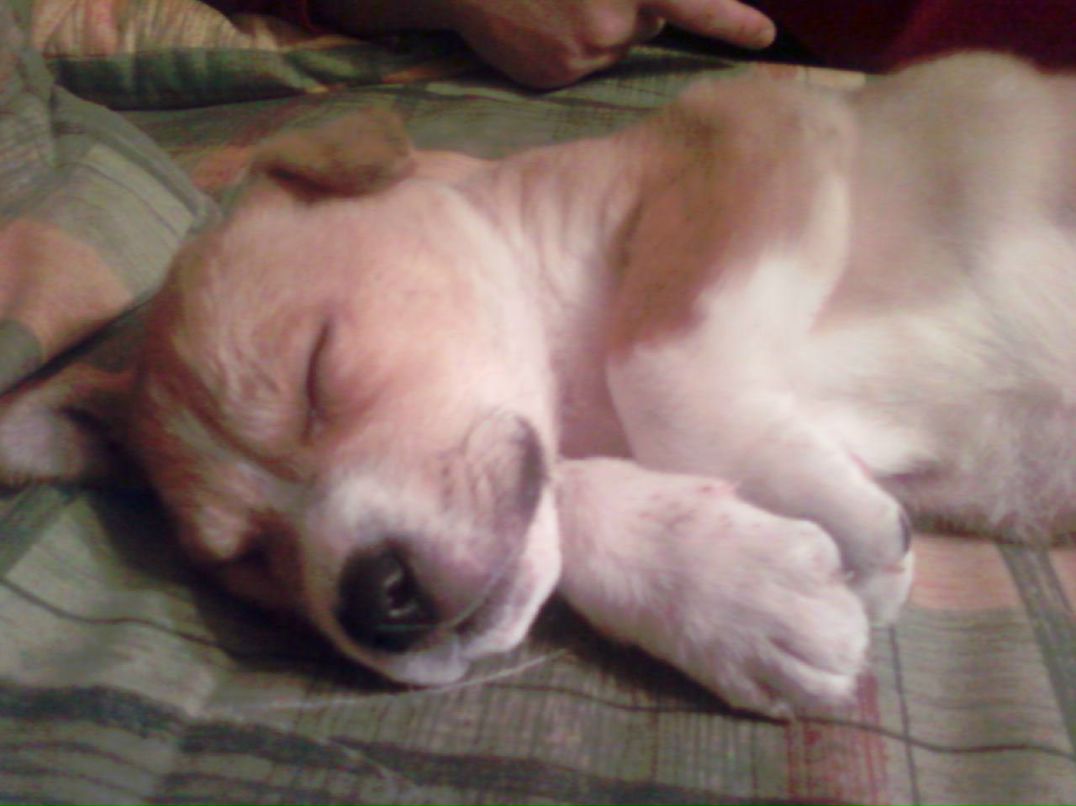 Станислав Кавлюк | Черновцы