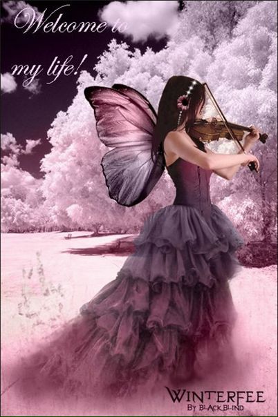 №12, Анна Стельмащук, Киев №12, Анна Стельмащук, Киев