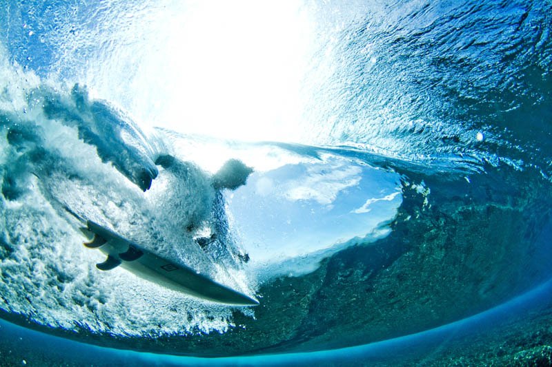 Андрій Огоновський | Львов