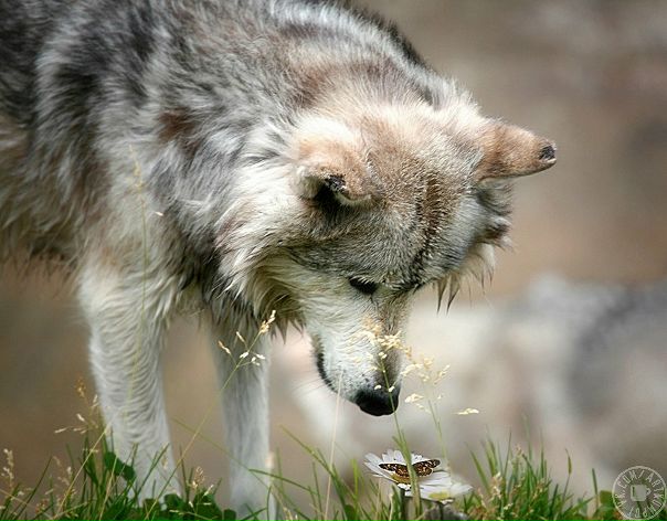 №16, Елена Гусарова, Хадыженск №16, Елена Гусарова, Хадыженск