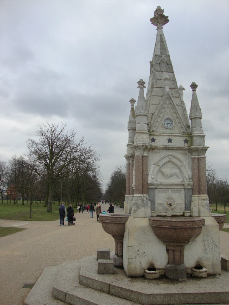 Егор Карпенков | Санкт-Петербург