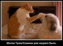 №28 Оксана Вусихис 22.09: профиль, фото, статус - ВКонтакте