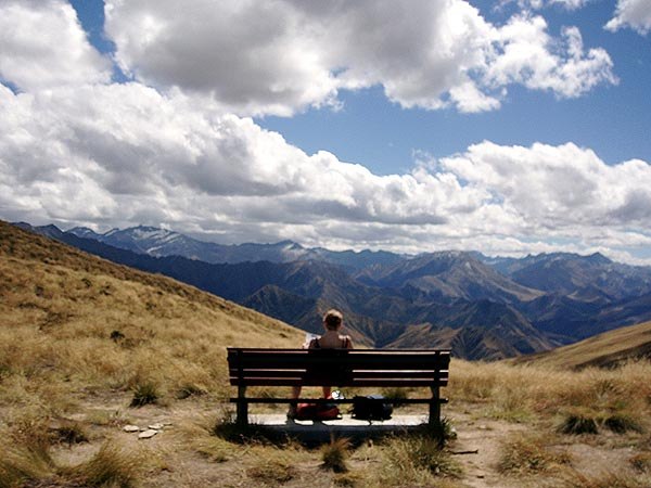 Алексей Реука | Донецк