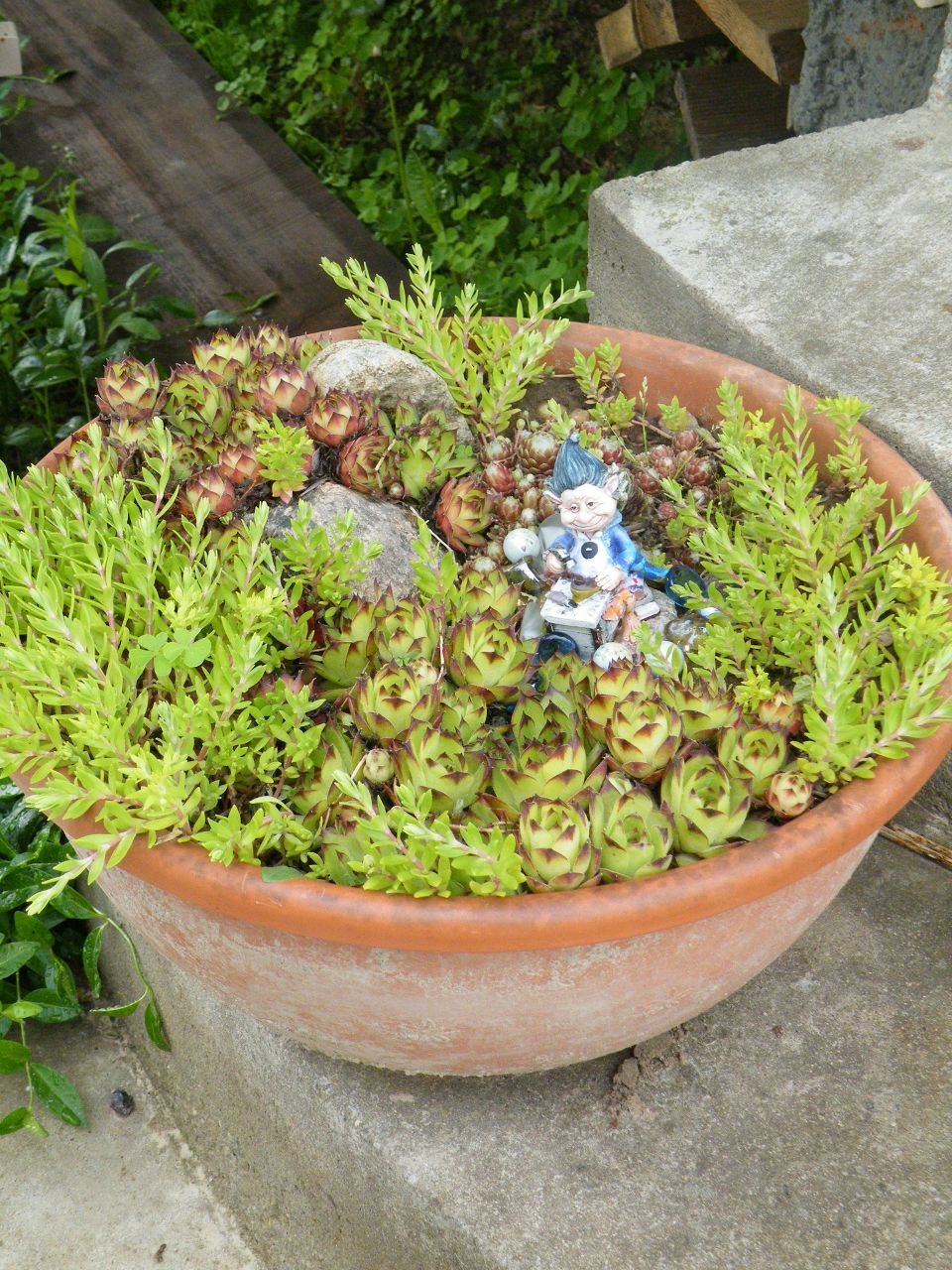 Диана Богодухова | Минск