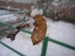 Катрин Ромашка фотография #36 (источник - https://vk.com/id100659153)