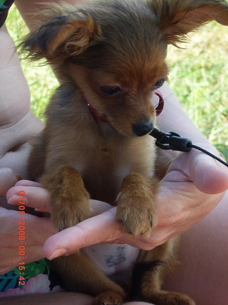 №13, Алёна Николаева №13, Алёна Николаева