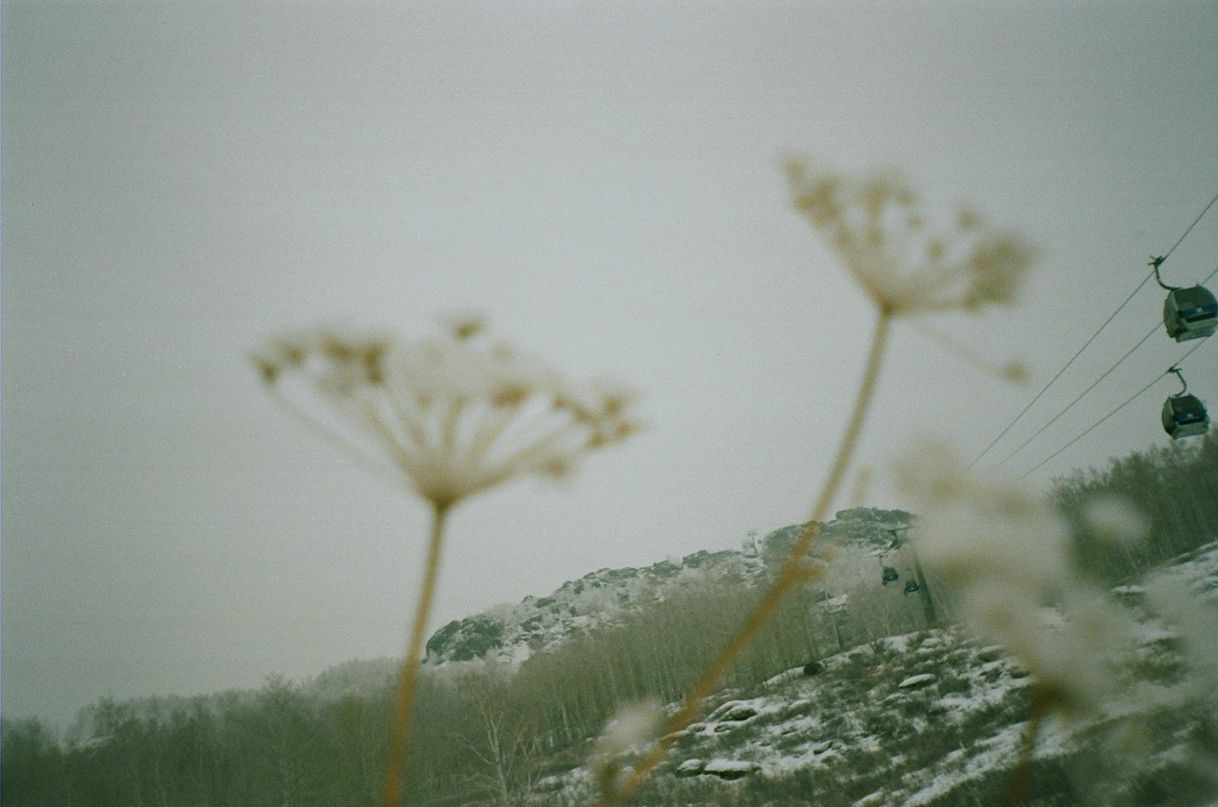 Никита Букша | Магнитогорск