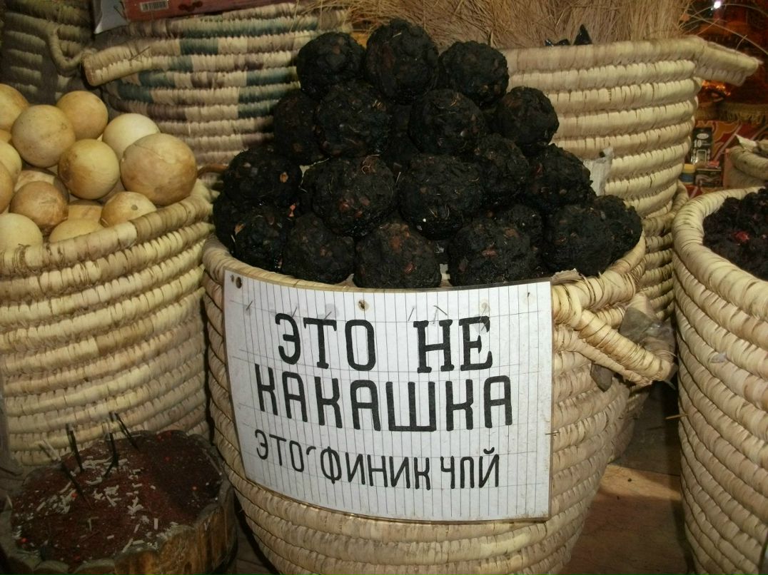 Даша Леонович | Минск