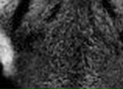 Sergei Ganshyn SV | Николаев