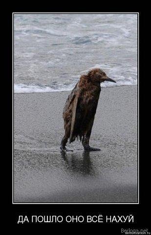 Don Antuan | Киев