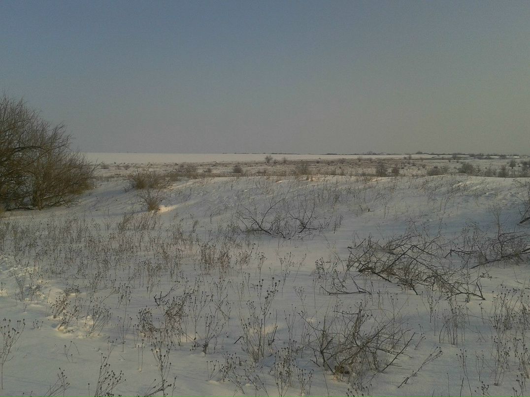 Серёга Буряга | Николаев