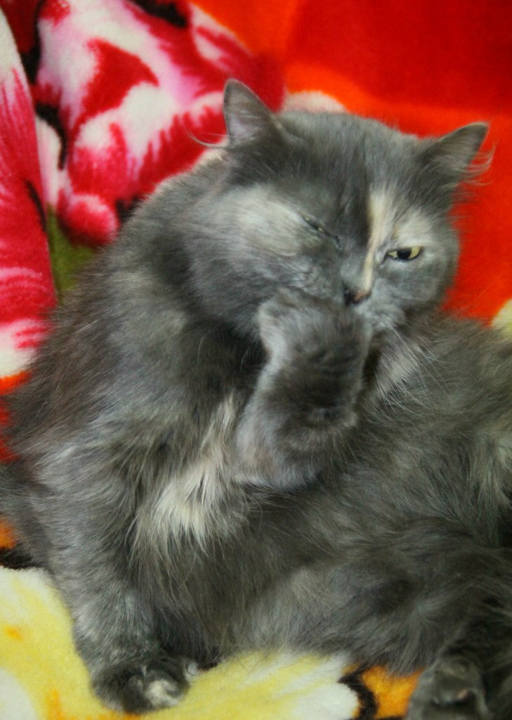 Светлана Дарькина | Москва