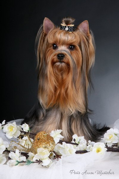 Галина Николаева | Санкт-Петербург