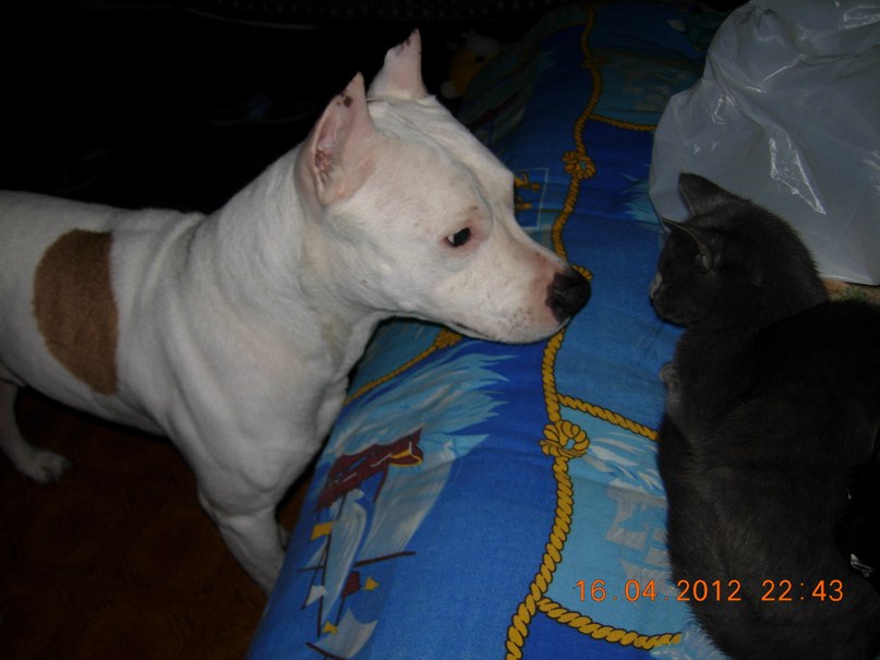 Екатерина Вересова Сергеевна | Красноярск