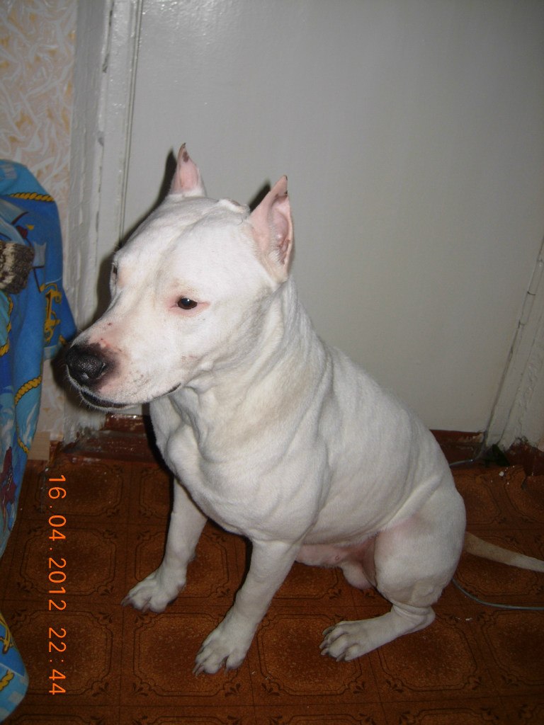 Екатерина Вересова Сергеевна | Красноярск