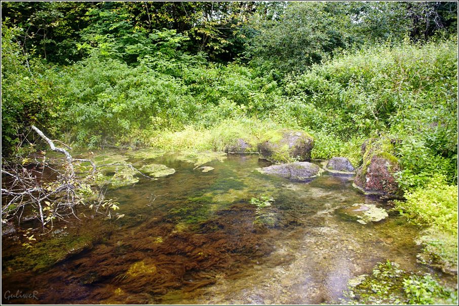 №10, Guliwer Добавления, 124 года, Санкт-Петербург №10, Guliwer Добавления, 124 года, Санкт-Петербург