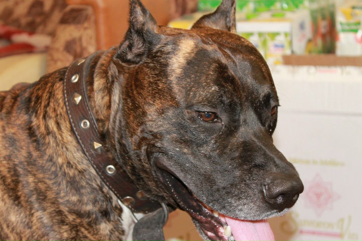 Валерий Каракин | Нижний Новгород