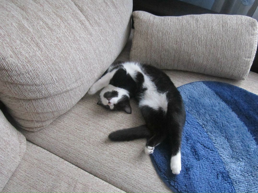 Анатолий Волчек | Минск