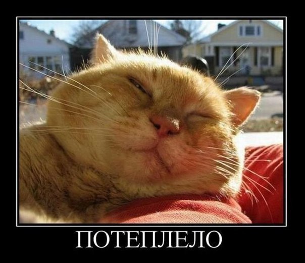 Катерина Паркова | Киев