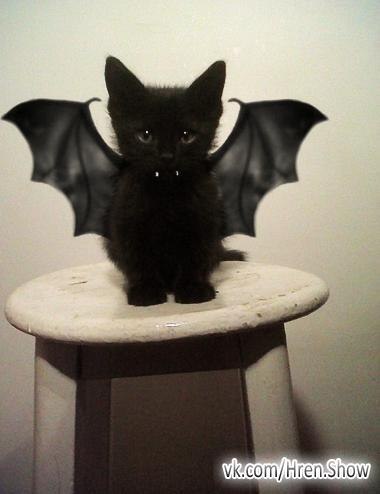 Алексей Калита | Киев