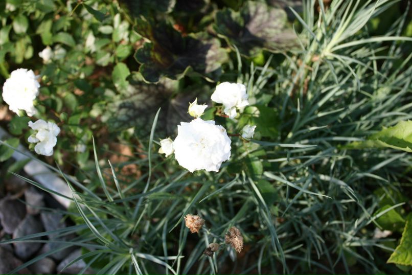 Екатерина Усанова Георгиевна | Москва