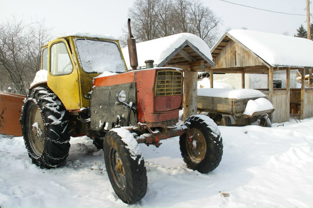 Марина Васильева | Москва